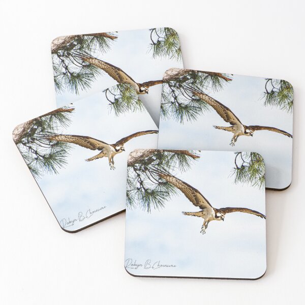 Item preview, Osprey 5 designed and sold by Just My Nature Photography.