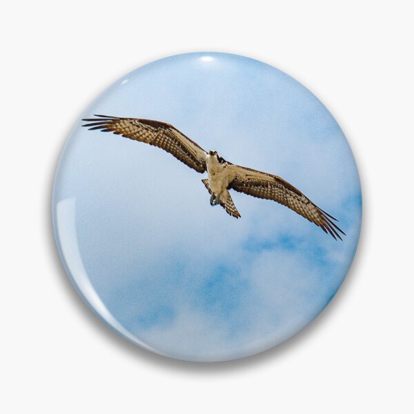 Item preview, Osprey 7 designed and sold by Just My Nature Photography.