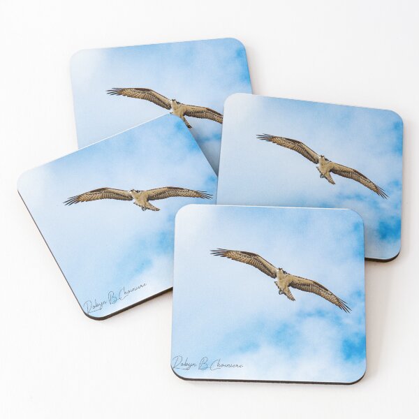Item preview, Osprey 7 designed and sold by Just My Nature Photography.