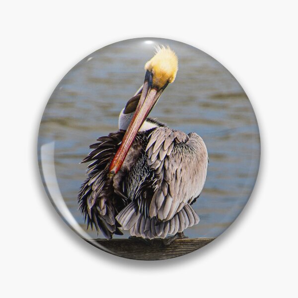 Item preview, Pelican 5 designed and sold by Just My Nature Photography.