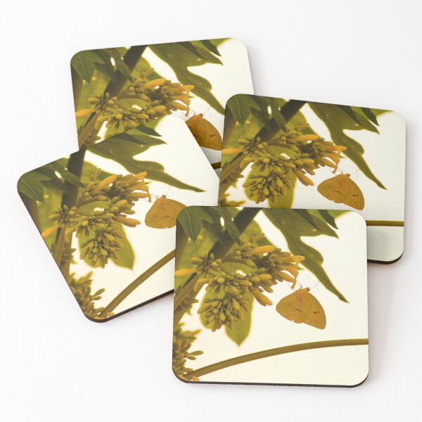 Item preview, cli yellow butterfly designed and sold by pcfyi.