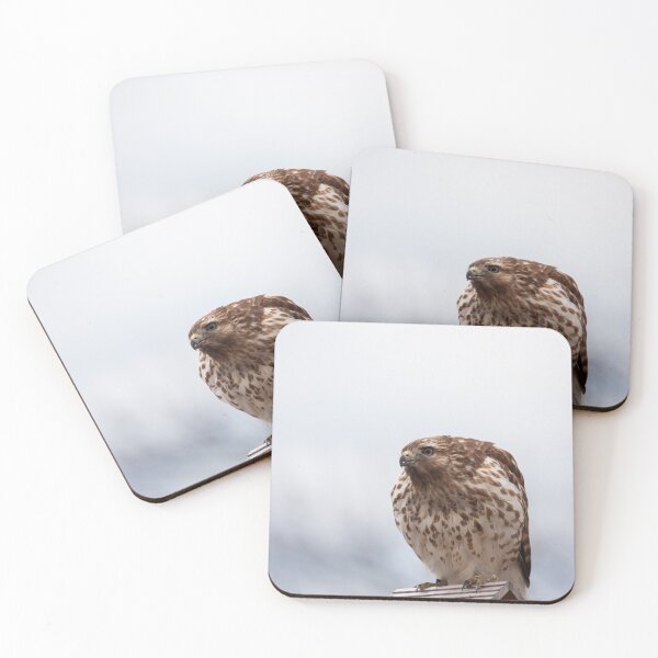 Item preview, Backyard Hawk designed and sold by Karol Livote.