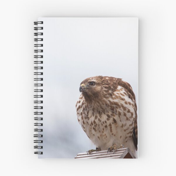 Item preview, Backyard Hawk designed and sold by Karol Livote.