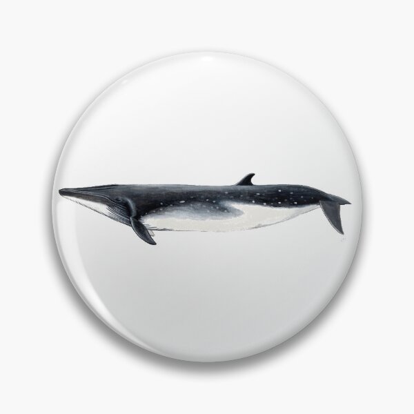 Item preview, Bryde´s Whale designed and sold by chloeyzoard.