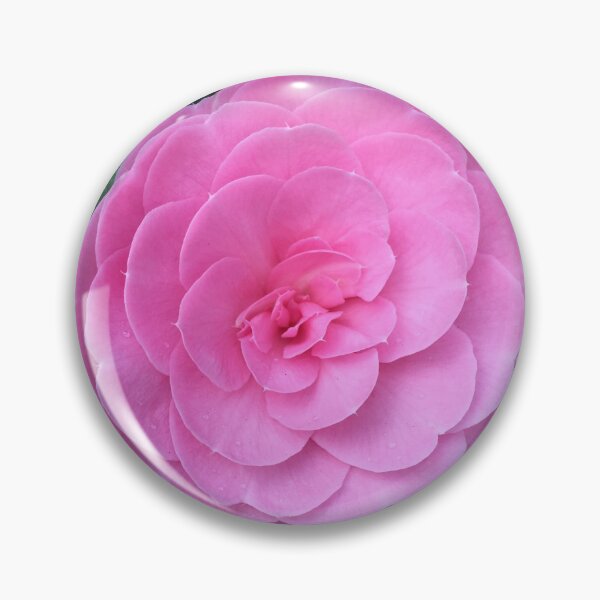Item preview, Perfect in Pink designed and sold by babibell.