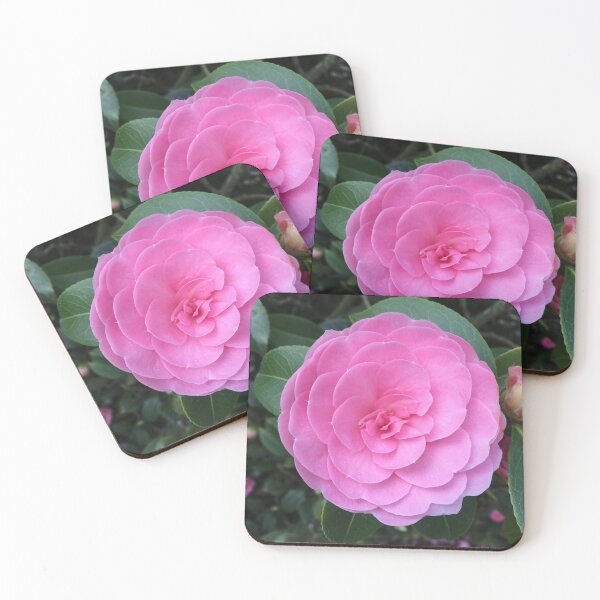 Item preview, Perfect in Pink designed and sold by babibell.