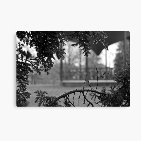 Something to Shoot 3 Canvas Print