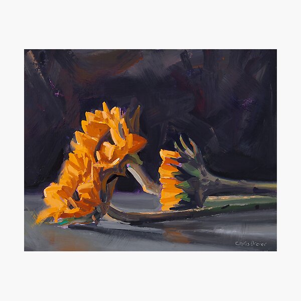 Three Mini Sunflowers Photographic Print