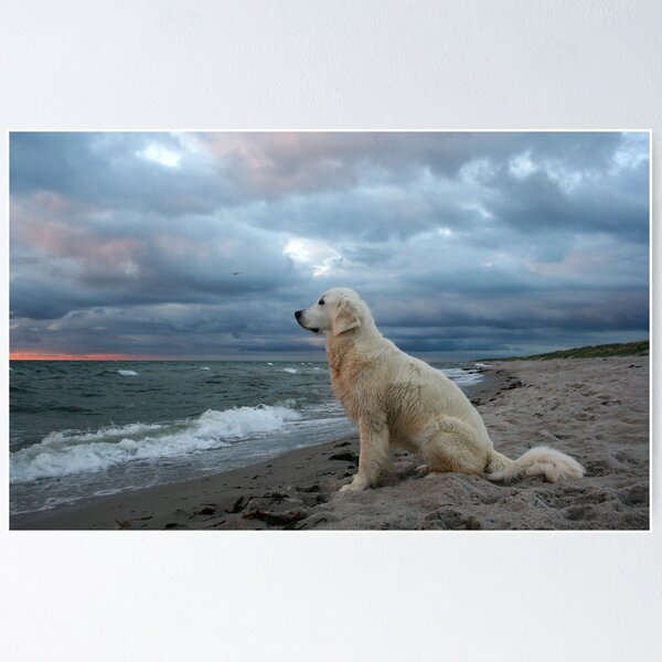 Item preview, Ditte at the beach designed and sold by Trine.