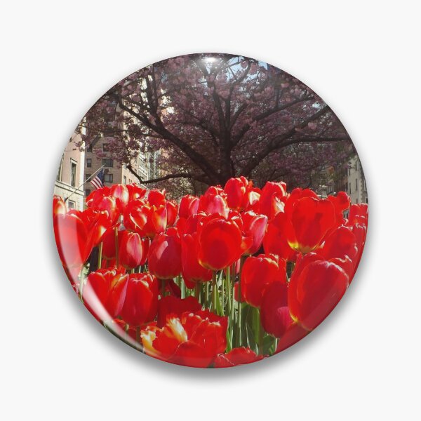 Item preview, Colorful Tulips, March, Murray Hill, New York City designed and sold by lenspiro.