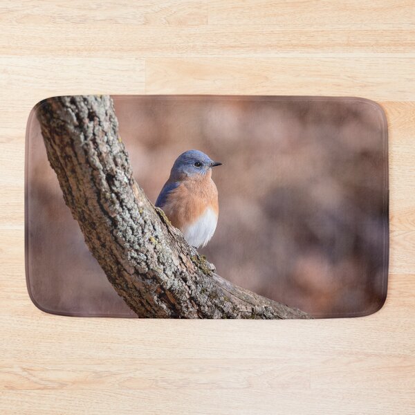 Item preview, Eastern Bluebird designed and sold by Patty Doublet Photography.
