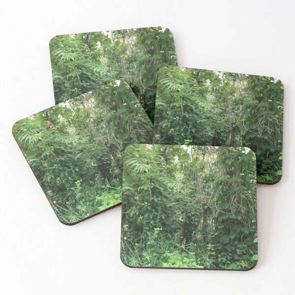 Item preview, plants designed and sold by FONESAY.