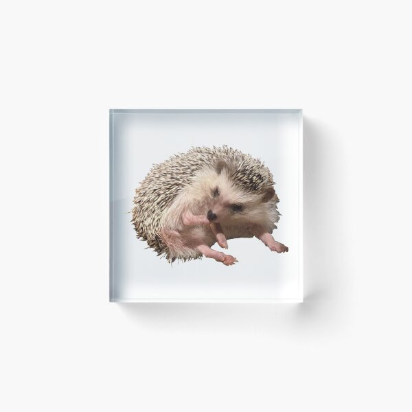 Item preview, weird hedgehog designed and sold by WhiteWave77.