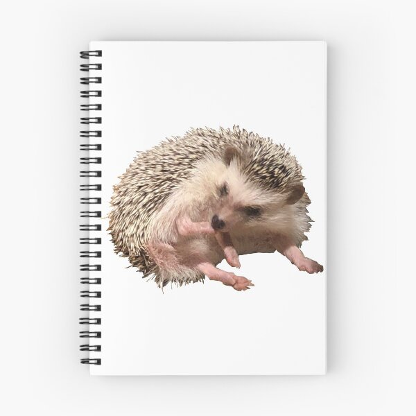 Item preview, weird hedgehog designed and sold by WhiteWave77.