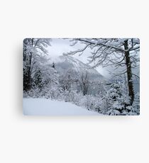 winter at walchensee Canvas Print