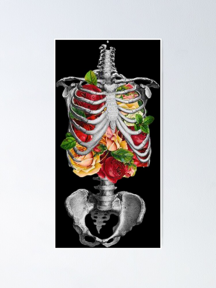 Skeleton Rib Cage - Skeleton Rib - Posters and Art Prints