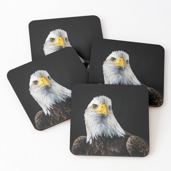 Item preview, Bald Eagle Portrait designed and sold by Patty Doublet Photography.