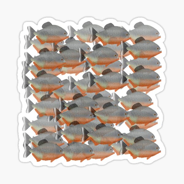  Aggressive Piranha Fish Sticker: High-Tech Angling