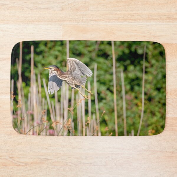 Item preview, Green Heron in Flight designed and sold by Patty Doublet Photography.