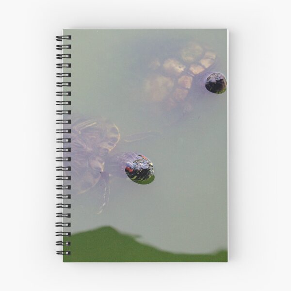 Item preview, Dos tortugas designed and sold by StudioJae.