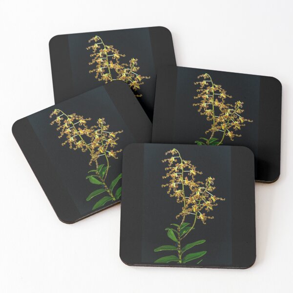 Item preview, Brown and yellow orchid designed and sold by vancer7.
