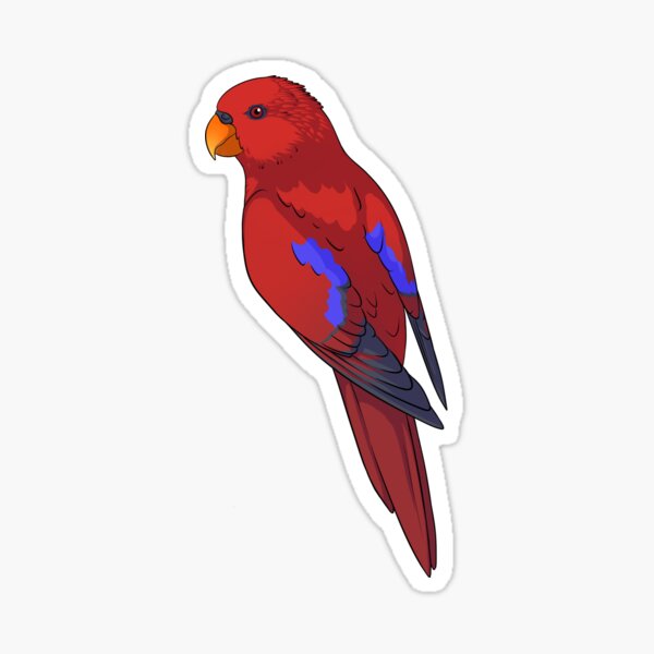 Vista previa del artículo con la obra «Clingy Red Lory», diseñado y vendido por KeesKiwi.