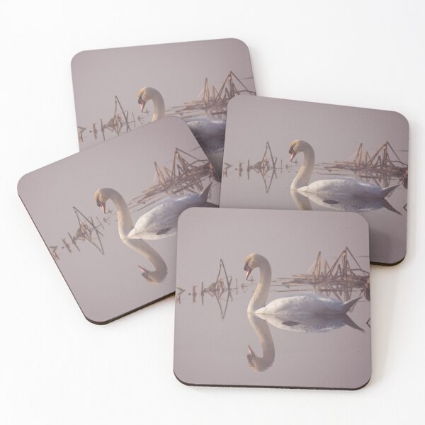 Item preview, Mute Swan in the Morning Fog designed and sold by Patty Doublet Photography.