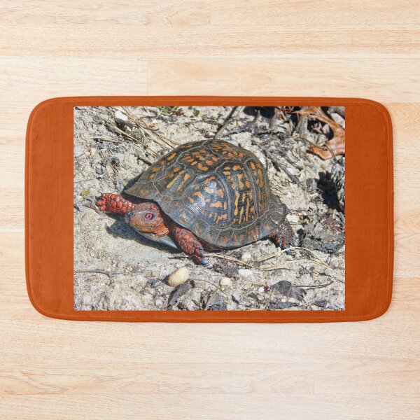 Item preview, Slow And Easy Wins The Race  designed and sold by Lanis Rossi.