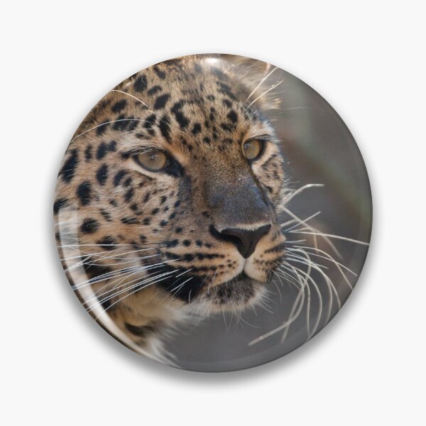 Item preview, Whats On A Cats Mind designed and sold by Karol Livote.