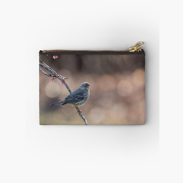 Item preview, House Finch female perched on a flowering plum tree in spring designed and sold by Rabbitti.