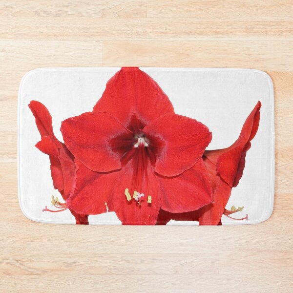 Item preview, Amaryllis Flowers. designed and sold by vette.