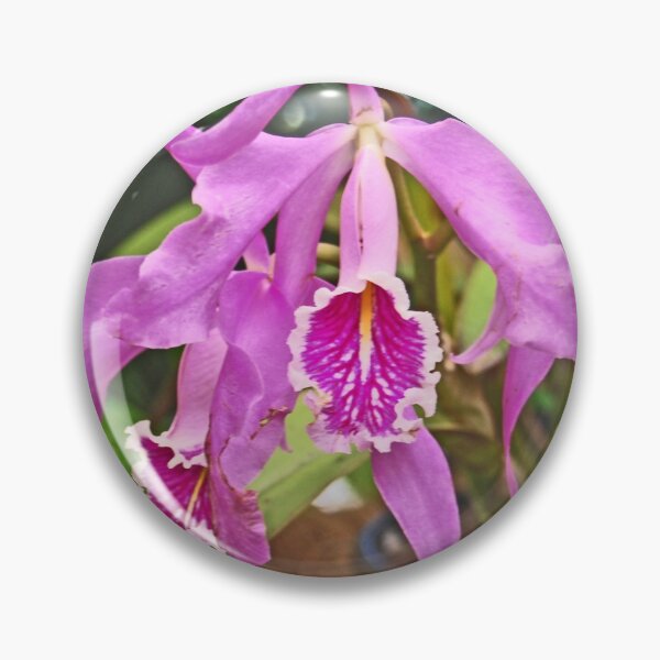 Item preview, Orchid #13 designed and sold by treborbob.