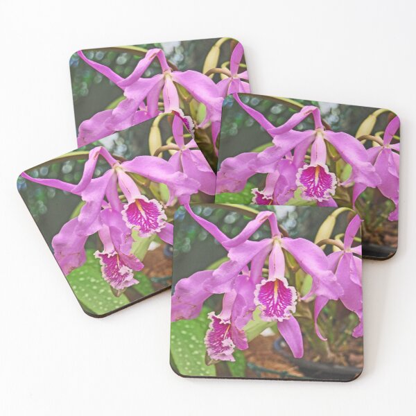 Item preview, Orchid #13 designed and sold by treborbob.