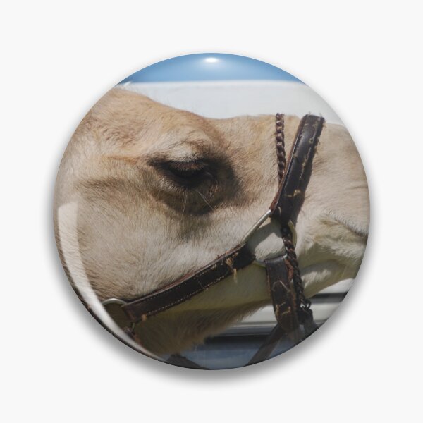 Item preview, Stuckup the camel designed and sold by treborbob.