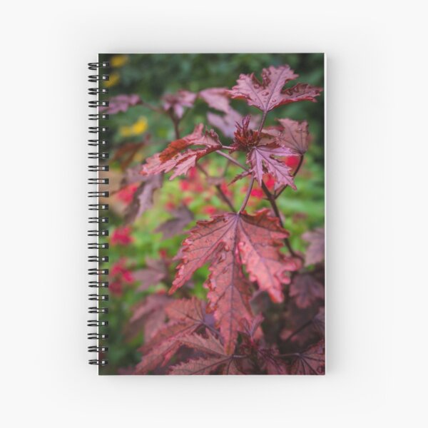 Autumn Maple Spiral Notebook