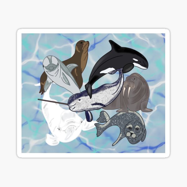 Marine Mammals  Sticker