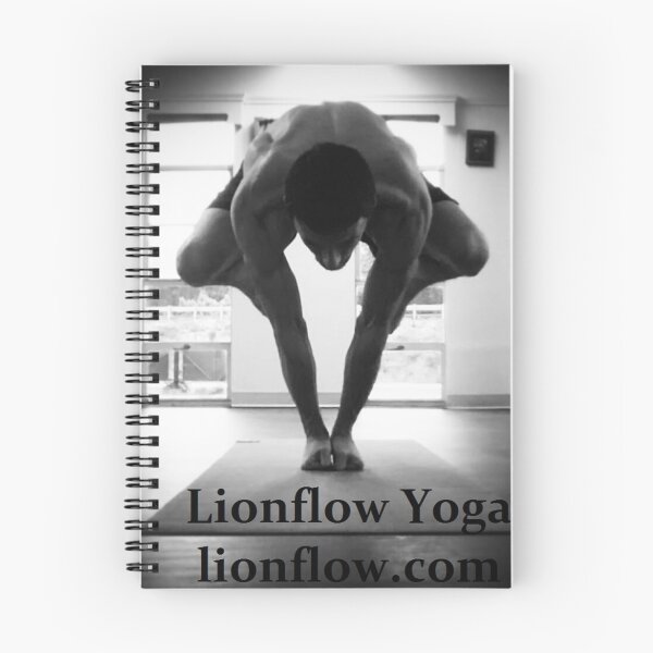 Item preview, Lifting Crow , logo designed and sold by lionflow.