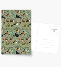 Garden Birds Postcards