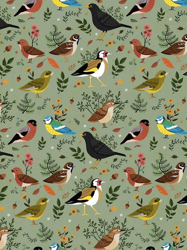 Garden Birds by sophieeves90