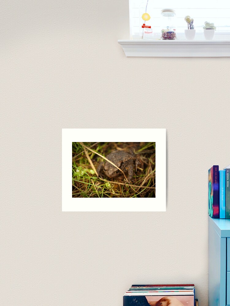 Thumbnail 2 of 3, Art Print, One of nature's beauties - Common Toad designed and sold by steppeland.