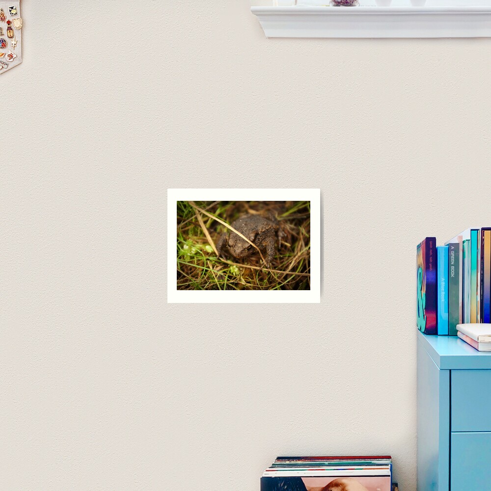 Item preview, Art Print designed and sold by steppeland.