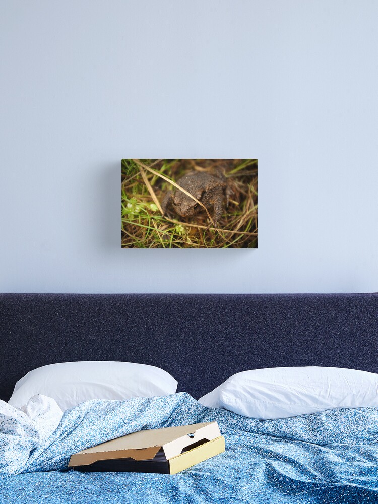 Thumbnail 2 of 3, Canvas Print, One of nature's beauties - Common Toad designed and sold by steppeland.