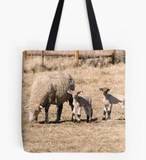 New Lambs Tote Bag