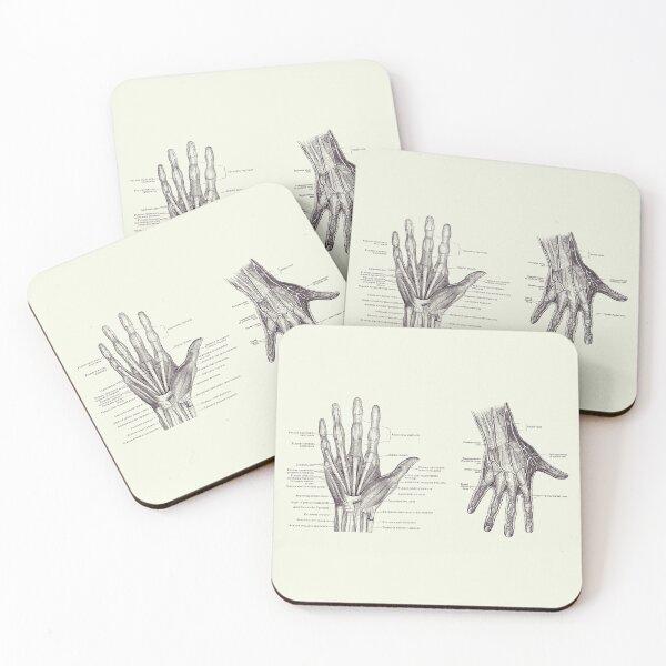Item preview, Human Hand Anatomy - Dual View - Vintage Diagram 2 designed and sold by VAposters.
