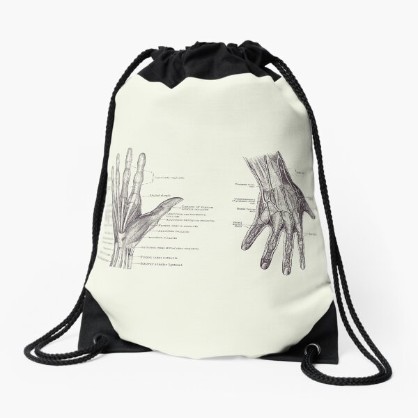 Item preview, Human Hand Anatomy - Dual View - Vintage Diagram 2 designed and sold by VAposters.