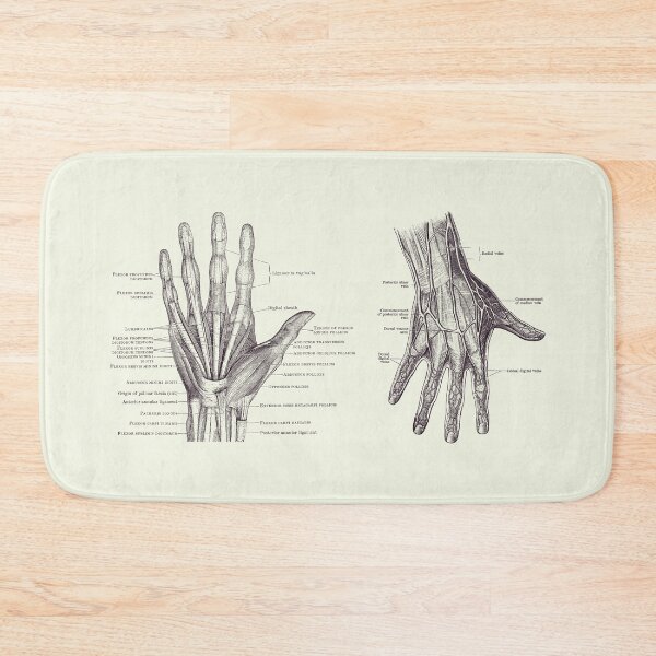 Item preview, Human Hand Anatomy - Dual View - Vintage Diagram 2 designed and sold by VAposters.