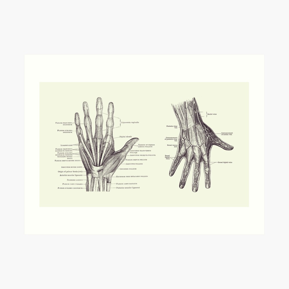 VinDrawins — Sketch Practice - 38 (head & hand)