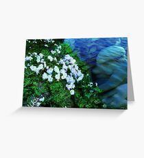 Sea Angel Greeting Card