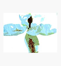 flower Photographic Print