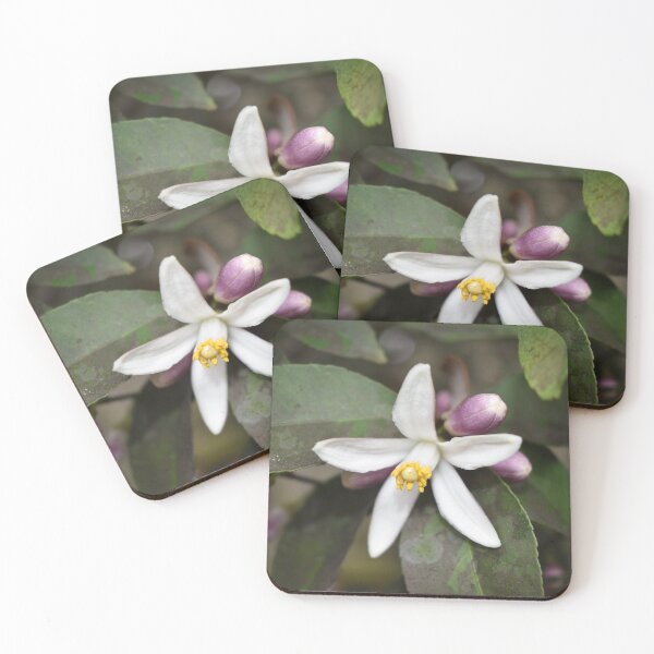 Item preview, Citrus Flower designed and sold by Aavelyn.